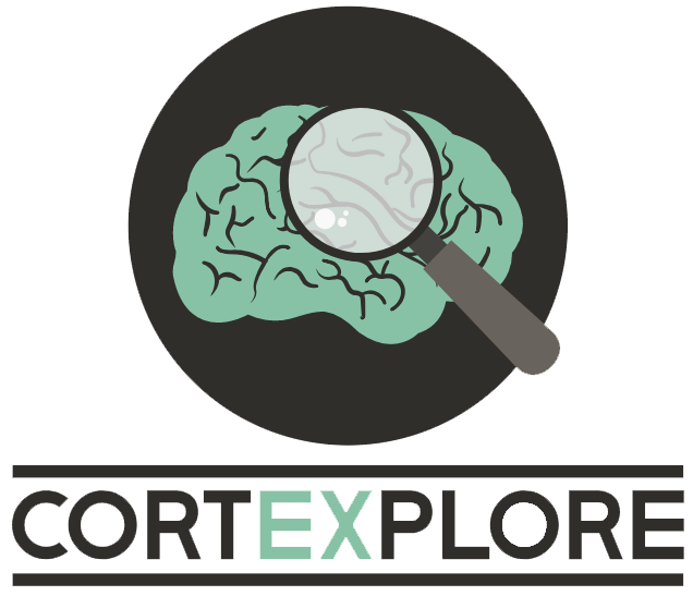Projekt cortEXPlore